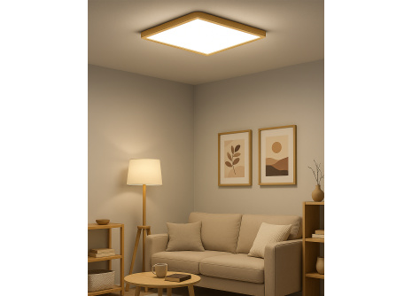 LED Ceiling 3CCT Light TR-94S - 40W 4300lm 50x50x2.5cm Trixline