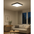 Q-253CP LED Ceiling Light EDEN 36W 3060lm 4000K Square Black QTEC