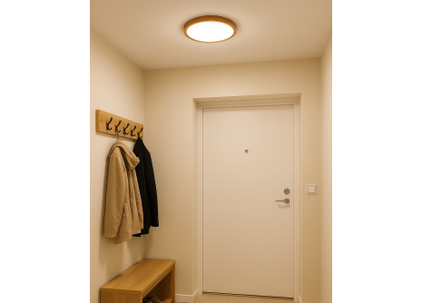 LED ceiling 3CCT light TR-72S - 18W 1850lm ø23x2.5cm Trixline LED ceiling 3CCT light TR-72S - 18W 1850lm ø23x2.5cm Trixline