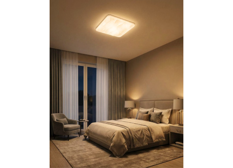 LED ceiling light TR-610S - NERIS 60W 5700lm 53x53cm CCT + Trixline controller