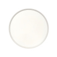 LED Ceiling 3CCT Light TR-82S - 40W 4300lm ø50x2.7cm Trixline