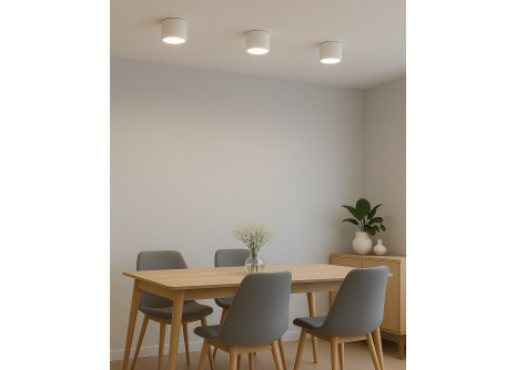 Q-14AD LED Ceiling Spot Light 3CCT White QTEC