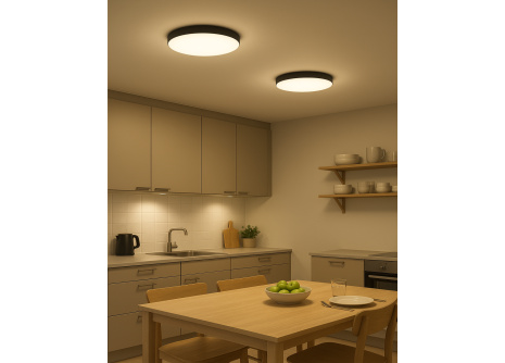 Q-221CP LED Ceiling Light FLUME 10W 850lm 4000K ø22.5cm/Round Black QTEC