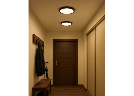 LED ceiling 3CCT light TR-77S - 24W 2500lm ø30x2.5cm Trixline LED ceiling 3CCT light TR-77S - 24W 2500lm ø30x2.5cm Trixline