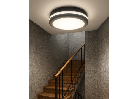 LED Ceiling CCT Light TR-202NS - 20W 2050lm ø23x5.5cm Trixline