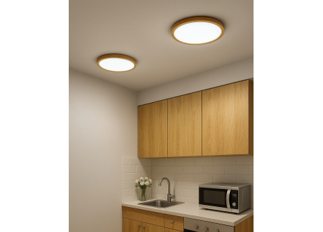 LED ceiling 3CCT light TR-76S - 24W 2500lm ø30x2.5cm Trixline