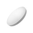 Q-250MS LED light with motion sensor ARVE 12W 1020lm 4000K ø25cm/round white QTEC