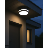 LED ceiling CCT light with motion sensor TR-261MR - ELLÉS 24W 2400lm ø26x5.5cm Trixline