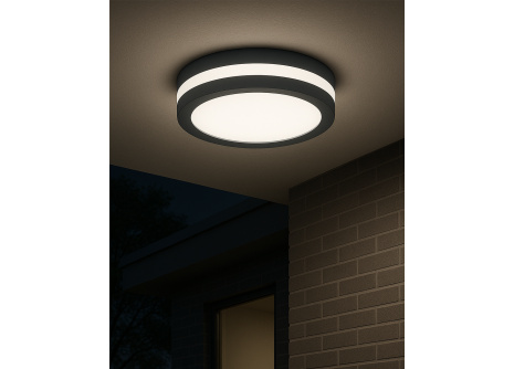 LED ceiling CCT light with motion sensor TR-203MS - 20W 2050lm ø23x5.5cm Trixline