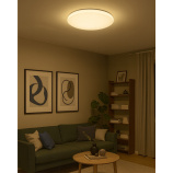 LED ceiling light TR-602C - IPOLY 60W 5700lm ø58cm CCT + Trixline controller LED ceiling light TR-602C - IPOLY 60W 5700lm ø58cm CCT + Trixline controller